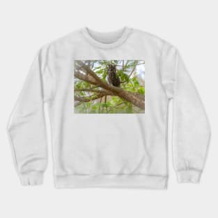 Great Horned Owl Crewneck Sweatshirt